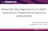 Mano de Obra Agrícola en el 2025: escenarios e ...