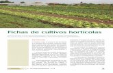 Fichas de cultivos hortícolas - Asturias