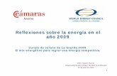Reflexiones sobre la energía en el año 2009