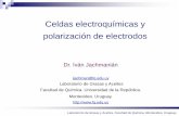 Celdas electroquímicas y polarización de electrodos