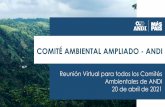 COMITÉ AMBIENTAL AMPLIADO - ANDI