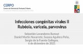 Infecciones congénitas virales II Rubéola, varicela ...