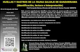 HUELLAS Y RASTROS DE LA FAUNA SALVAJE DE GUADARRAMA ...