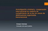 Investigación criminal y cooperación internacional en ...