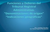 M.Sc. Guadalupe Ortiz Mora Juez Tribunal Registral ...