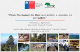 “Plan Nacional de Restauración a escala de paisajes”