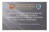 INSTITUTO DE INVESTIGACIÓN EN QUÍMICA BIOLÓGICA ...