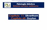 Capitulo 11: Silverthorn Capitulo 60: Guyton