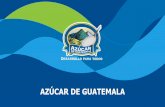 AZÚCAR DE GUATEMALA