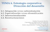 TEMA 6. Estrategia corporativa: Dirección del desarrollo