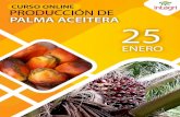 CURSO ONLINE PRODUCCIÓN DE PALMA ACEITERA intagri ENE-RO