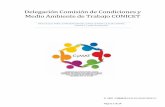 Delegación Comisión de Condiciones y Medio Ambiente de ...