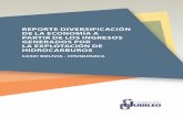 REPORTE DIVERSIFICACIÓN DE LA ECONOMÍA A PARTIR DE LOS ...