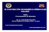 III CONVENCIÓN DE MINEROS ARTESANALES AMASUC