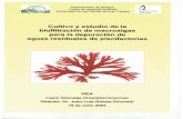 Cultivo y estudio de la biofiltración de macroalgas para ...