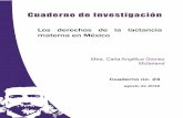 os derechos de la lactancia materna en México