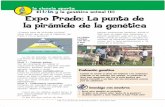 IIA Expo Prado: La punta de la pirámide de la genética