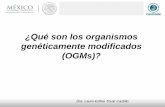 ¿Qué son los organismos genéticamente modificados (OGMs)?