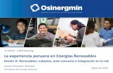 La experiencia peruana en Energías Renovables