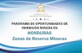 PANORAMA DE OPORTUNIDADES DE INVERSIÓN MINERA EN …