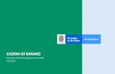 CADENA DE BANANO - minagricultura.gov.co