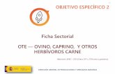 Ficha Sectorial OVINO, CAPRINO, Y OTROS HERBÍVOROS CARNE