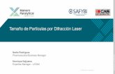 Tamaño de Partículas por Difracción Laser