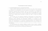 FUNDAMENTACIÓN TEÓRICA 1.- ANTECEDENTES DE LA …