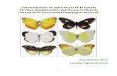 Sistematización de especímenes de la familia Pieridae ...