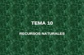 TEMA 10 - exa.unne.edu.ar