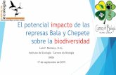 El potencial impacto de las represas Bala y Chepete sobre ...