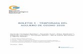 BOLETIN 1 – TEMPORADA DEL AGUJERO DE OZONO 2020