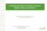 La edición genómica de cultivos: aspectos legales, éticos ...