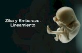 Zika y Embarazo. Lineamiento
