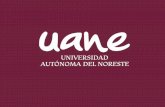 Informe de empleabilidad - UANE