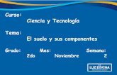 Curso: Ciencia y Tecnología Tema: El suelo y sus componentes