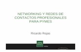 NETWORKING Y REDES DE CONTACTOS PROFESIONALES PARA …