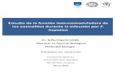 Estudio de la función inmunomoduladora de los eosinófilos ...