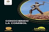 CONOCIENDO LA COMIBOL - digital.mineria.gob.bo