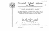 FACULTAD DE FILOSOFIA LETRAS División de Estudios de Posgrado