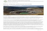Minería: preguntas políticamente incorrectas