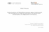 PhD Thesis Valorisation of Mediterranean agro-industrial