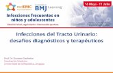 Infecciones del Tracto Urinario: desafíos diagnósticos y ...