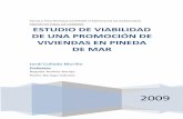 PROYECTO FINAL DE CARRERA ESTUDIO DE VIABILIDAD DE UNA
