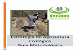Estrategia de Agricultura Ecológica ... - Vecinos Honduras