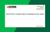 PROYECTOS Y PLANES PARA EL DESARRALLO DEL AGRO