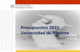 Universidad de Alicante Presupuestos 2022