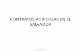 CONTRATOS AGRICOLAS EN EL SALVADOR