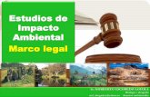 Estudios de Impacto Ambiental Marco legal