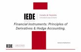 Financial Instruments: Principles of Derivatives & Hedge ...